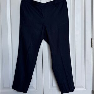 J. Jill Navy Blue Stretch Linen Pants